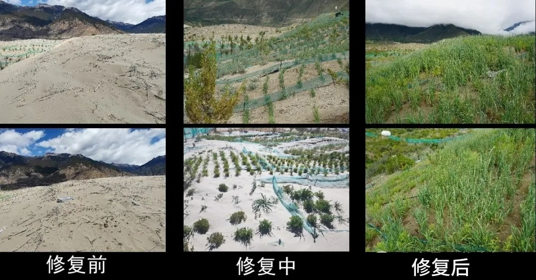 边坡生态防护