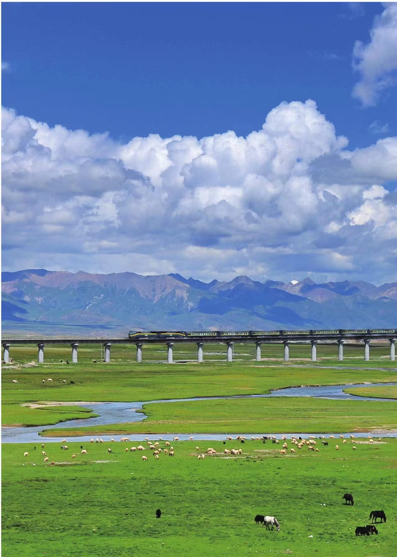 西藏旅游风光